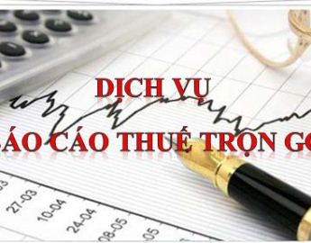 Dịch Vụ Báo Cáo Thuế Trọn Gói Tại Xã Châu Đức, TP HCM