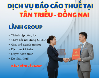 Dịch Vụ Báo Cáo Thuế Tại Phường Tân Triều, Đồng Nai – Chuyên Nghiệp, Uy Tín Từ Lành Group